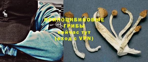 ALPHA PVP Алексеевка