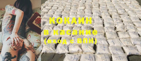 бошки Алексин